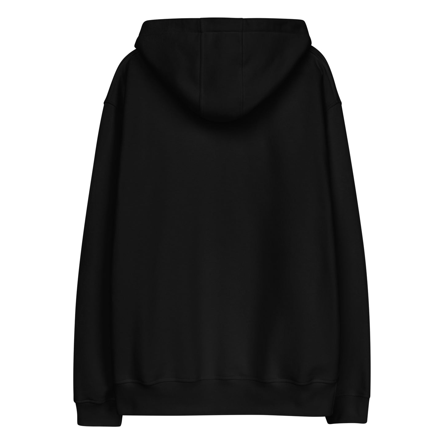 FTFS Premium eco hoodie